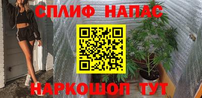 spice Моздок