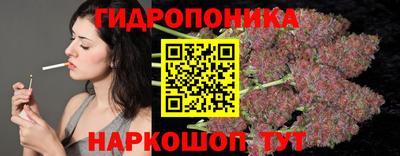 spice Моздок