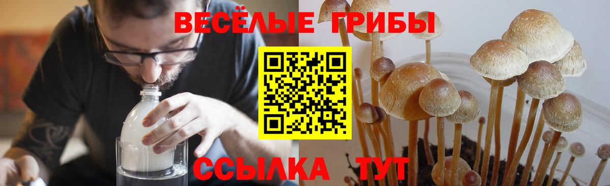 Галлюциногенные грибы прущие грибы Дзержинский